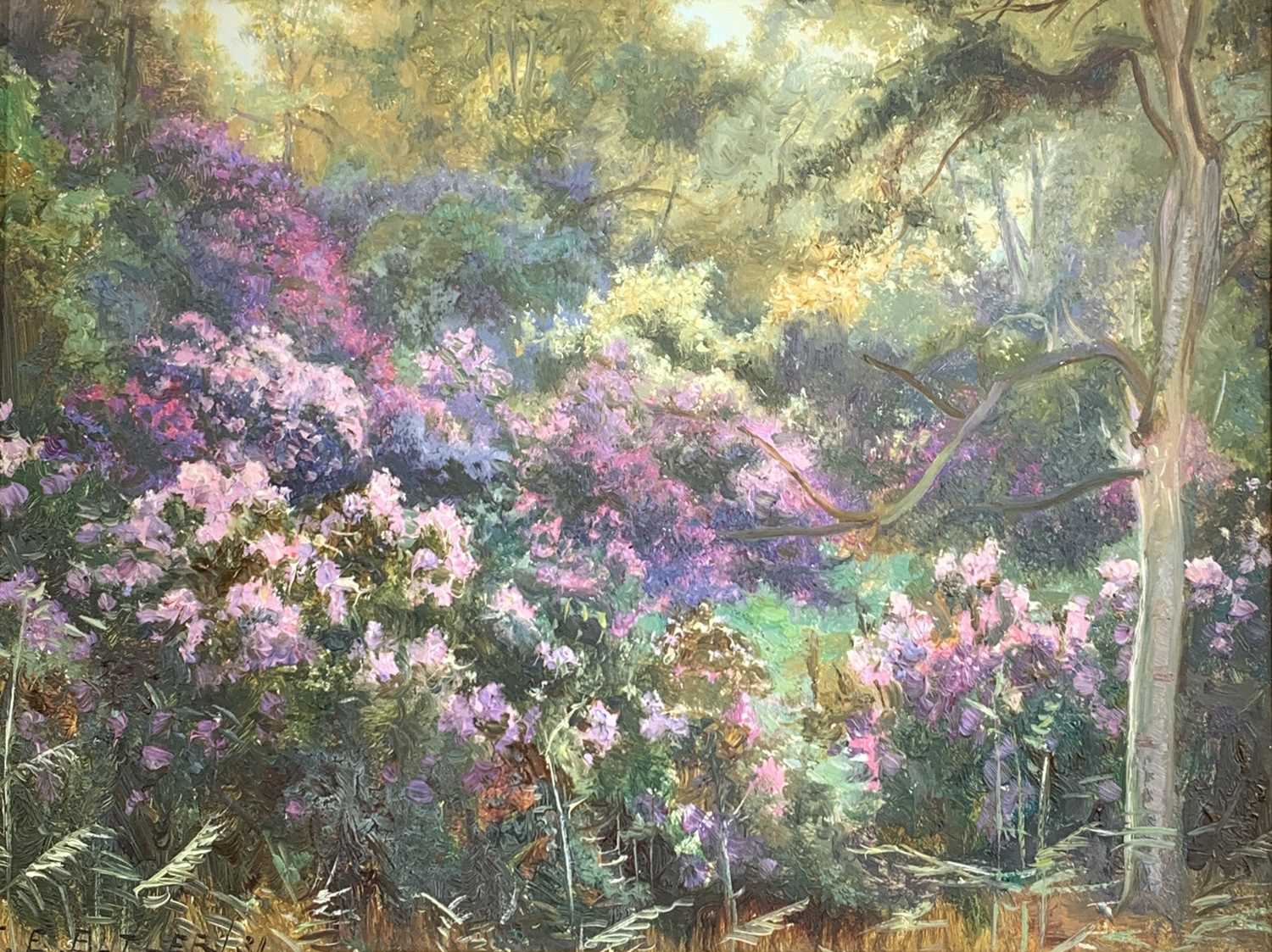 Charles Ernest BUTLER (1864-1918/33)Rhododendron gardenOil on board Signed and dated '3123 x 31cm - Image 2 of 2