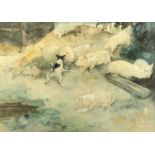 John BEER (c.1860-c.1930)Barnacle PigsWatercolourSigned and dated 191024.5 x 34.5cm