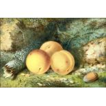 J TURNER Apricots on a mossy bank Watercolour Signed and dated 1860 13.5 x 20cm Together with it's