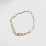 A graduated knotted ivory bead necklace, clasp to middle length 22.5cm