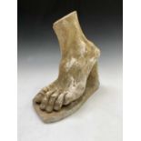 A plaster cast sculpture of a foot, after the antique, signed D Brucciani & Co London and numbered