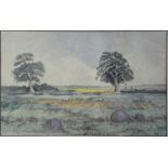 David HOODITH (20th/21st Century British School) Rural LandscapePastel19.5 x 30.5