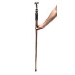 An unusual walking stick, the iron finial fashioned as a ram's mask with twist stem and leaf cast