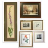 Two signed botanical watercolours Together with various prints