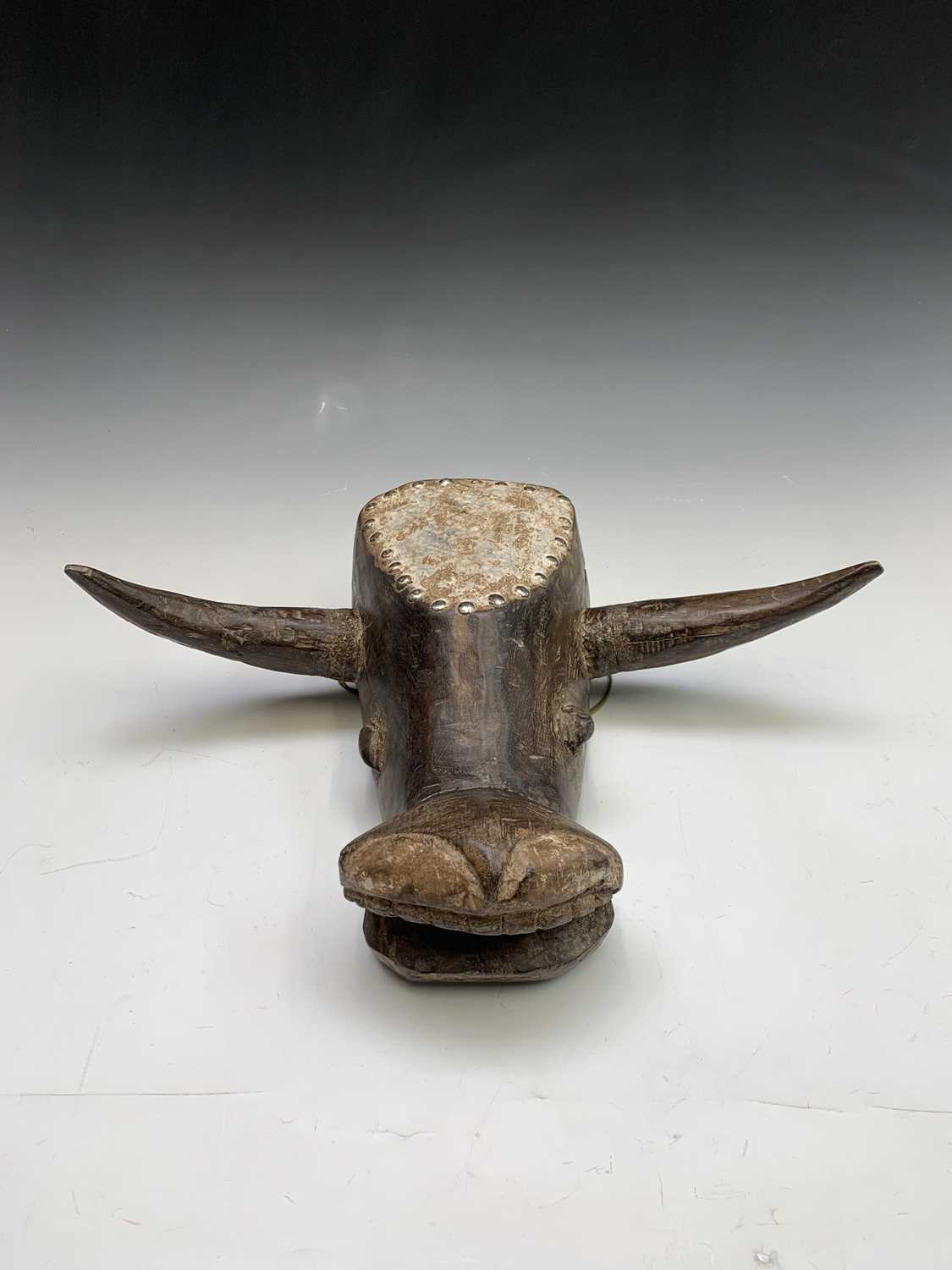 An Asian carved wood mask in the form of a horned cow, with painted and stud decoration. Height