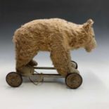 An early 20th century pull along bear, possibly Steiff but no button. Cinnamon mohair with glass