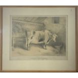 A DUCOTE after L HOTES 'Durham Ox'Lithograph 34 x 43.5cm (sight size)Condition report: Framed