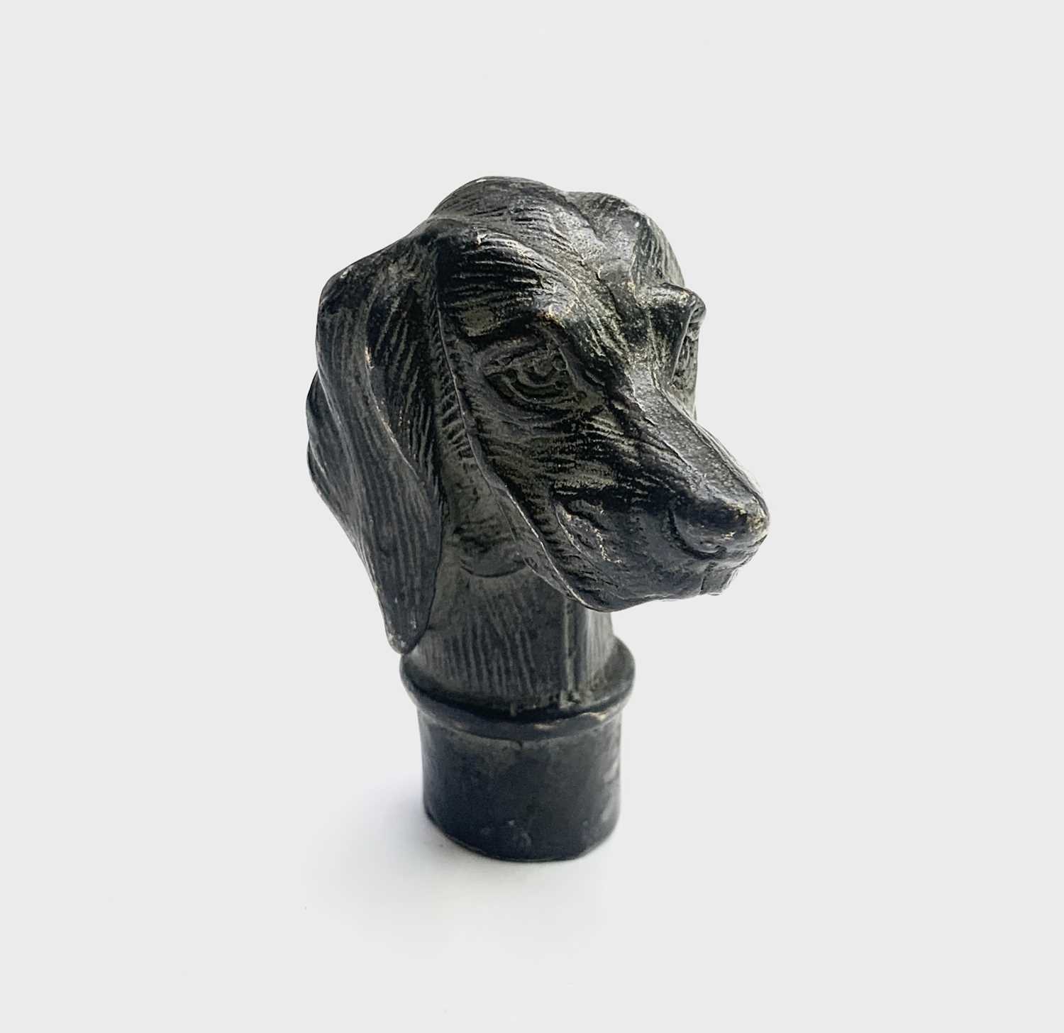 A bronze walking stick handle cast as a dog's head. Height 7cm.