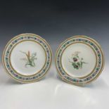 A pair of Minton dessert plates, circa 1870, each with botanical enamel decoration within enamel