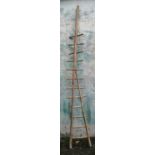 Rare survivor - a West Country fruit picking ladder of rustic form, with twelve treads on a split