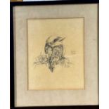 A pencil study of a Baby Kooka signed A Joyce Bowden together with various prints.