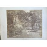 Early photography interest John Dillwyn Llewelyn Two albumen prints 1850s.Sketty Hall Garden, 19.5 x