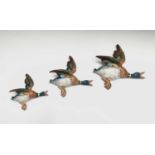 A set of three graduated Beswick flying duck wall plaques, each having printed marks, impressed