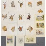 Follower of Arthur WARDLEAnimal Studies A collection of small watercoloursTogether with other