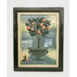 A moulded plaster plaque decorated with a fruiting orange tree in an urn, incorporating a framed