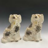A pair of Victorian Staffordshire pottery spaniels, with black and white markings and yellow painted