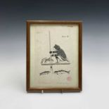 Inuit engraving, Enook Manomie, The Ice Fisherman, signed and inscribed in pencil, 22.5cm X 14cm.