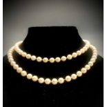 A good long necklace of 100 well-matched 6.9mm pearls with 18ct white gold clasp by J. Kohle