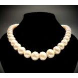 A necklace of 41 large slightly graduated cultured pearls, the largest 12.8mm the smallest 11.