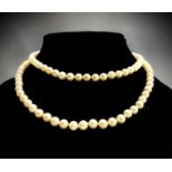 A necklace of 112 pearls all between 6.2 and 6.4mm with a diamond set clasp, 42.7g