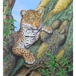 Richard W Orr, acrylic signed, study of a leopard 48cm x 43cm