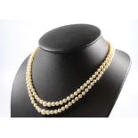 A double strand of cultured pearls with a 9ct yellow gold turquoise and seed pearl clasp, 42cm