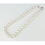A string of cultured pearls with a 9ct white gold ball clasp, 45cm