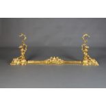 A French Rococo 19th Century style gilt metal fire curb incorporating 2 end urns 56cm h x 139cm w