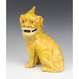 A 19th Century Chinese yellow glazed figure of a Shi Shi 28cm Front left leg is restored