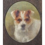 Edwardian, oil on canvas, oval, unsigned, study of a terrier 17cm x 15cm