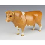 A Beswick Guernsey Bull CH Sabrina's Sir Richmond 14th, tan and white gloss, modelled by Coin