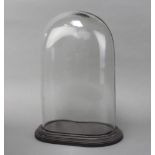 A Victorian style oval glass dome, raised on an ebonised base 38cm h x 23cm w x 13cm d Some slight