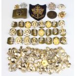 A quantity of staybright collar dogs, buttons and military insignia