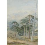 J W Walrond, watercolour signed and dated 1888, Corsican forrest study with distant mountains 44cm x