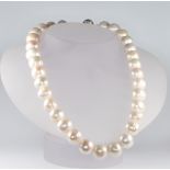 A string of cultured pearls with a 9ct white gold clasp 44.5cm