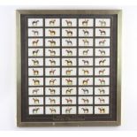 A set of 50 John Players 1933 Derby and Grand National Winners cigarette cards, framed, 54cm x 49cm