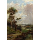 Abraham Hulk II (1851-1922), oil on canvas signed, extensive country landscape with distant cottages