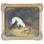 19th Century oil on canvas unsigned, study of a terrier mauling a deer with another terrier beside