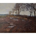 FEBRUARY FIELD - CO. MEATH by Desmond Hickey