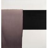 EXPOSED PAINTING by Callum Innes