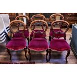A SET OF SIX VICTORIAN MAHOGANY BALLOON BACK DINING CHAIRS with scrolled mid-bars,