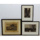 Three Victorian etchings (3) CONDITION: Please Note - we do not make reference to