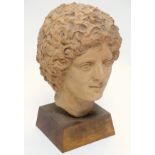 A terracotta bust of a man with curly hair mounted on a wooden plinth. Approx. 16" high.