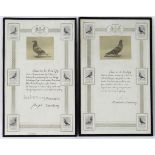 Two framed Pigeon Racing winner's certificates, pertaining to the 'Ulster Combine's Old Bird Race',