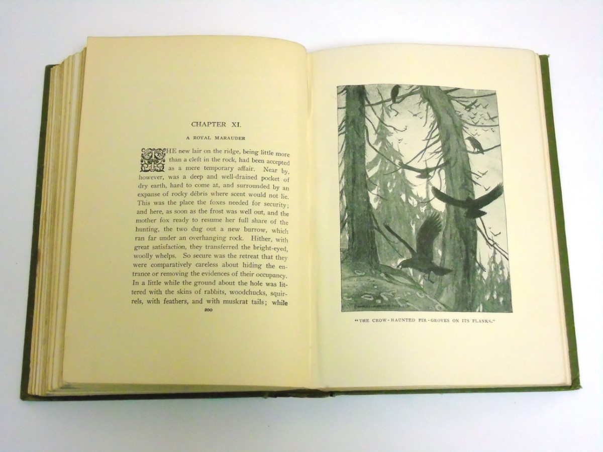 Book: " Red Fox " by Charles G.D. Roberts, published by Duckworth & Co. - Image 3 of 7