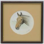 Horse: Jane Shirley XX, Watercolour, a Tondo, Head of a bay horse,