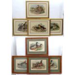 Ornithological hand coloured engravings, Mallard Duck, Snipe, Goose, Pheasant, French Partridge,