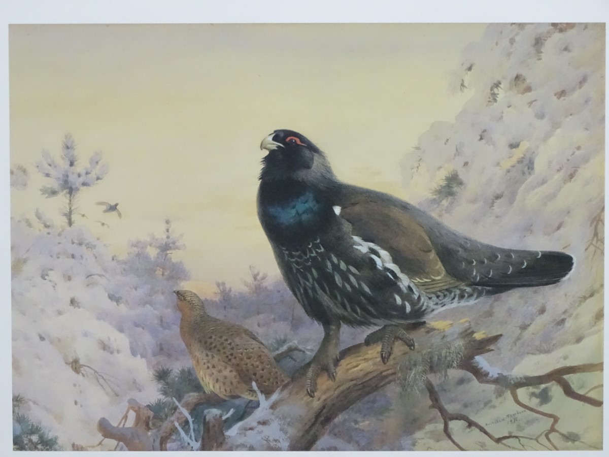 After Archibald Thorburn (1860-1935), Limited edition coloured print 65/850, 'Winter in the Glen', - Image 5 of 7