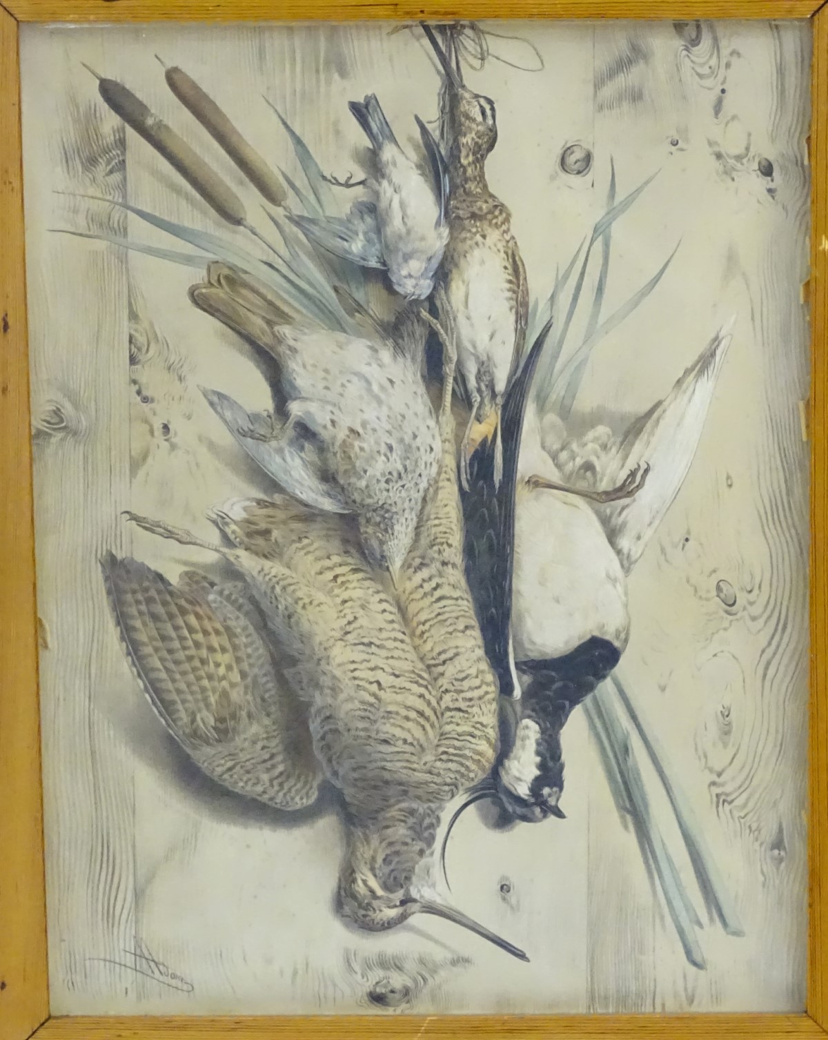 Albert Adam (1833-?), XIX, Hand coloured lithographs, x 2, A study of hanging dead game birds, - Image 6 of 19