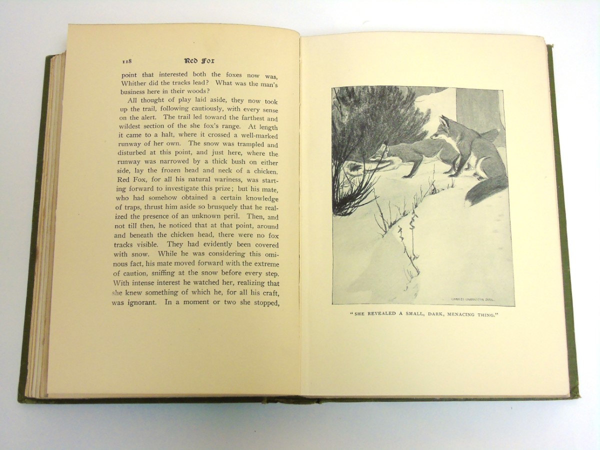 Book: " Red Fox " by Charles G.D. Roberts, published by Duckworth & Co. - Image 7 of 7
